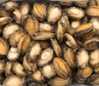 【食品進口】海參、鮑魚等海味干貨報關(guān)指南