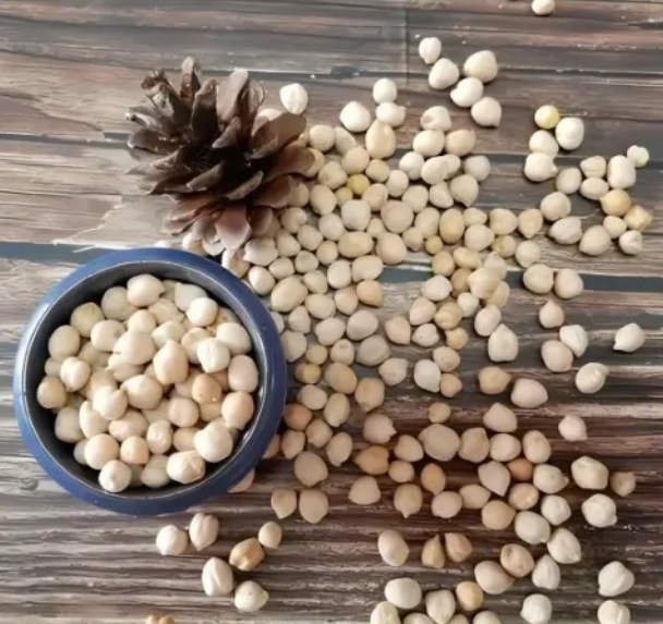 政策解讀｜海關(guān)總署關(guān)于進口烏茲別克斯坦鷹嘴豆植物檢疫要求的公告