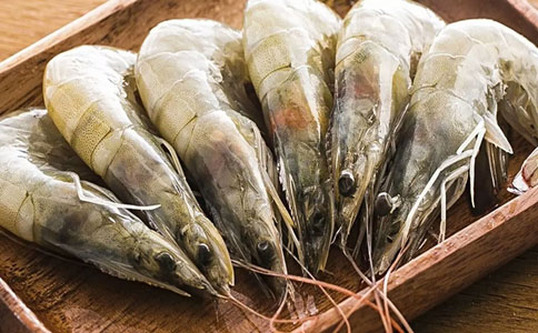 天津進口水產(chǎn)品清關(guān)