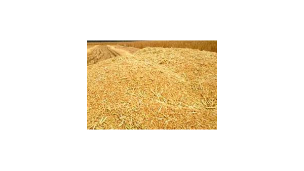 解讀 | 關于進口白俄羅斯菜籽粕和豆粕檢驗檢疫要求的公告