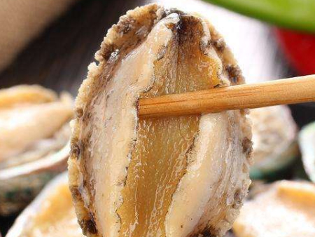 冷凍鮑魚(yú)佛山通關(guān)代理,鮑魚(yú)通關(guān)代理,冷凍鮑魚(yú)佛山通關(guān)