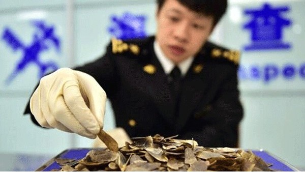 如何規(guī)避進(jìn)口貨物被海關(guān)扣關(guān)風(fēng)險(xiǎn)？東莞鵬通進(jìn)口清關(guān)公司揭秘