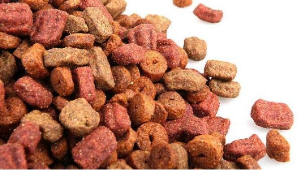 [轉(zhuǎn)載海關(guān)]黃埔新沙助力動物飼料快速進口報關(guān)