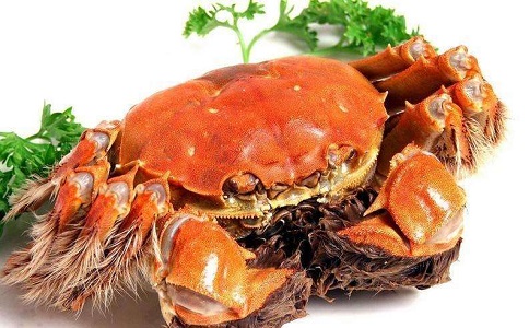 青島水產(chǎn)品進口報關公司