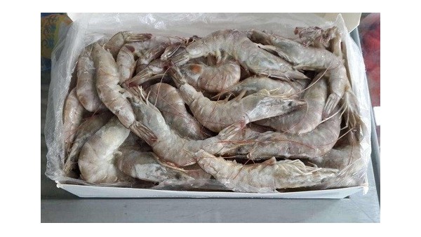 煙臺港口成功進口海鮮花咲蟹四千公斤