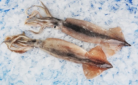 魷魚進口報關