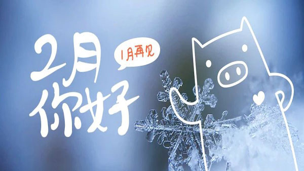 2月，這些海關(guān)政策快來看！